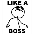Like A Boss!