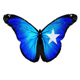 Ma Ogtahay Apk - Qaybtii 1