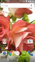 Rose Wallpaper स्क्रीनशॉट 1