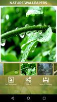 Nature Wallpapers स्क्रीनशॉट 3