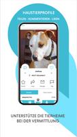 baltoo - Die App für Dich und Deinen Vierbeiner скриншот 1