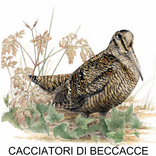 Cacciatori di Beccacce