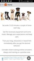 Best Dog Training Tips پوسٹر