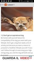 Best Dog Training Tips اسکرین شاٹ 2