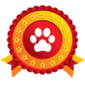 Treinar o Seu Cão