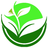 بیمارستان تخصصی ائمه اطهار