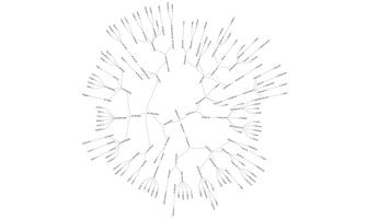 FamilyTree Maker capture d'écran 2