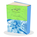 انزال زود رس