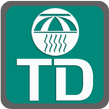TD