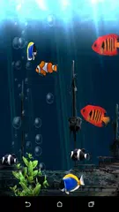 download 2017 Live Wallpapers APK