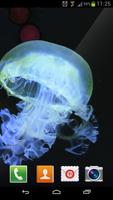 برنامه‌نما Jellyfish Ocean Live Wallpaper عکس از صفحه