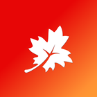 Maple иконка