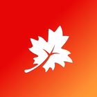 Maple icon