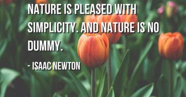2 Schermata Isaac Newton Quotes