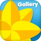 Icona Gallery