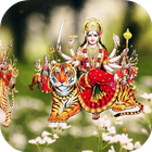 Nau Devi Ki Bhakti  Bhajan icône