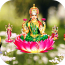 Lakshmi Chalisa-APK