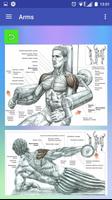 All exercises for all muscles Affiche