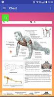 برنامه‌نما All exercises for all muscles عکس از صفحه
