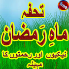 ikon Tohfa Mah e Ramzan