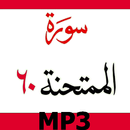 Surah Mumtahina Mp3 Audio Urdu Translation APK