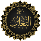 Surah Taghabun Offline أيقونة