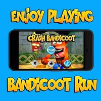 Bandicoot Run Plakat