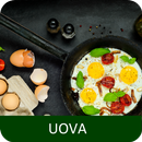 Uova ricette di cucina gratis in italiano offline. APK