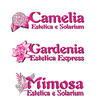 Camelia&Mimosa&Gardenia
