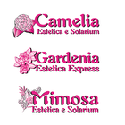 ikon Camelia&Mimosa&Gardenia