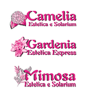 Camelia&Mimosa&Gardenia icône