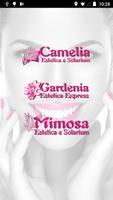 Camelia&Mimosa&Gardenia পোস্টার