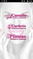 Camelia&Mimosa&Gardenia Affiche