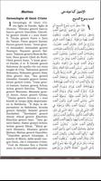 Poster New Testament Arabic Italian