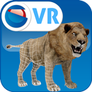 Virtual Reality APK