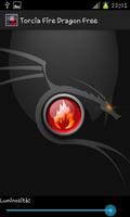 Fire Dragon Torch Free ảnh chụp màn hình 1