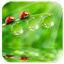 Total Relax APK