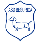 Asd Besurica 2015/2016 アイコン