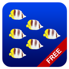 Fish swarm Live Wallpaper FREE icône