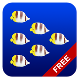 Fish swarm Live Wallpaper FREE icône