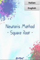 Newton's Method - Square Root poster