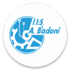 IIS A. Badoni иконка