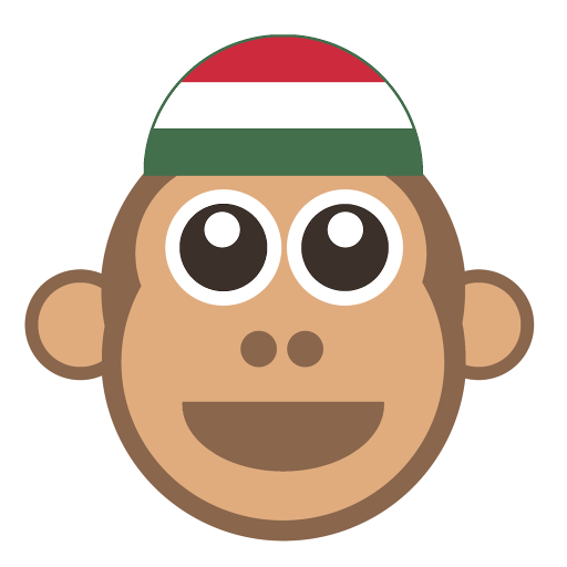 Translate to Hungarian - Hungary language learner