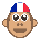 Learn french easily - Offline french translator icône