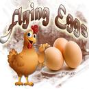 Flying Eggs-APK