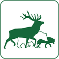 Fauna investita