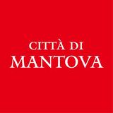 Mantova icône
