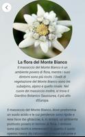 BH - Monte Bianco Poster