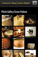 Grana Padano Ekran Görüntüsü 1
