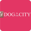 Dog In The City